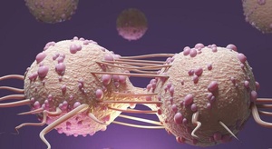 كيف تتذكر الخلايا هو