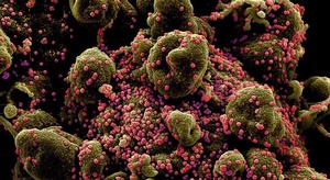 منظمة الصحة تسجل رقم