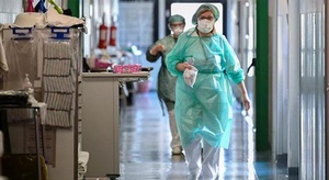 الهامستر السوري يساع