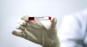 علماء صينيون يكشفون 