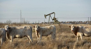 برميل الخام الأمريكي