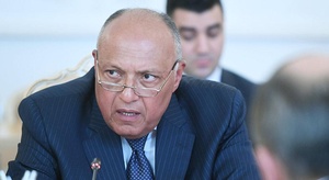 سامح شكري يلتقي مستش