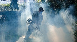 أنباء سارة... المبيد