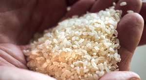 بشرى سارة لأصحاب الح