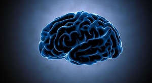 10 أشياء تساهم في تع