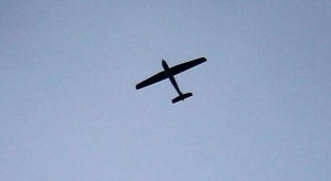 حزب الله اللبناني يع