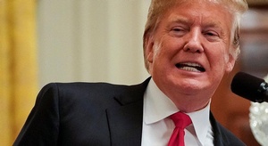 ما هي اللغة الرسمية 