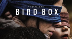 هوس  بيرد بوكس  يجتا