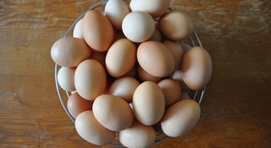 ما الذي يحدث اذا لم 