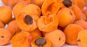 المشمش مفيد للحوامل 