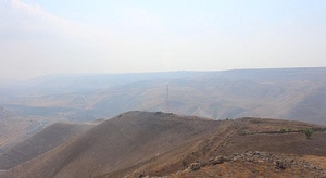 نائب سوري: دمشق ستست