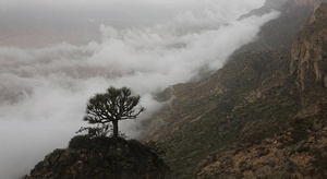 لن تجرؤ على دخوله...