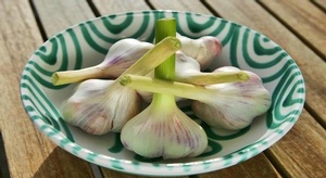 ماذا يحدث للكبد عند 